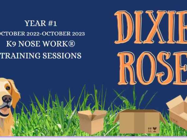 1 Year Anniversary Scent&nbsp;Training