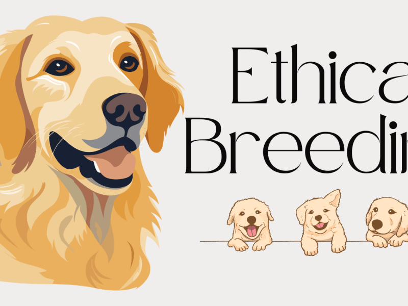 Ethical Breeders