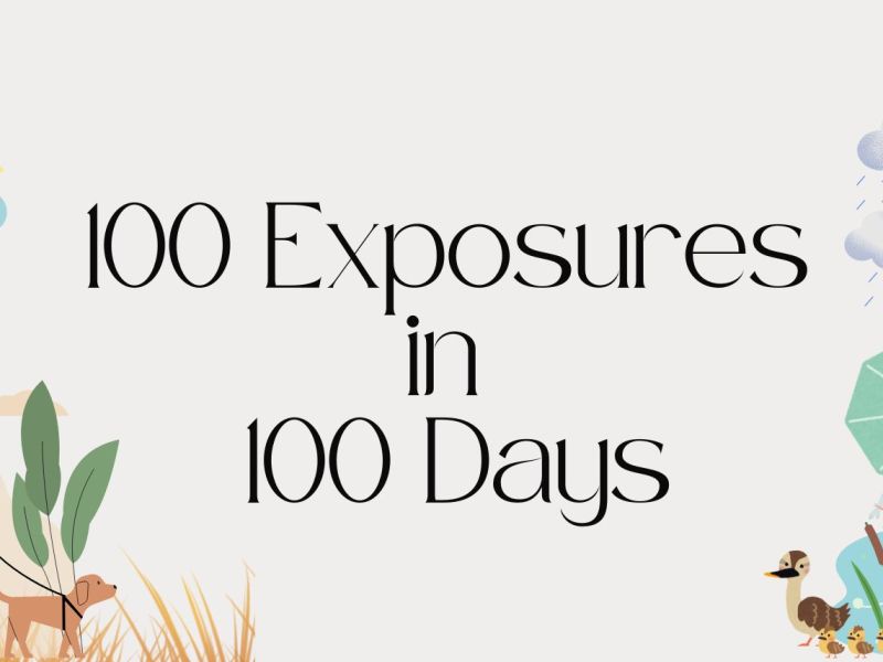 12-Week Window: 100 Exposures in 100&nbsp;Days