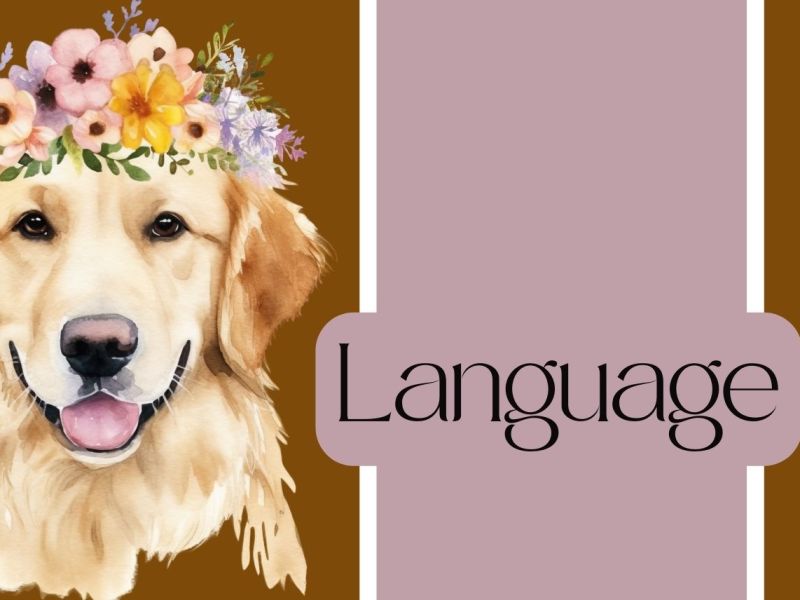 Now We’re Spelling