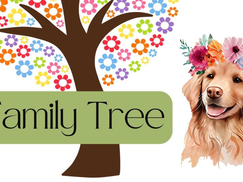 How to Trace a&nbsp;Pedigree