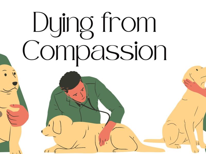 Suicide in Veterinary&nbsp;Medicine